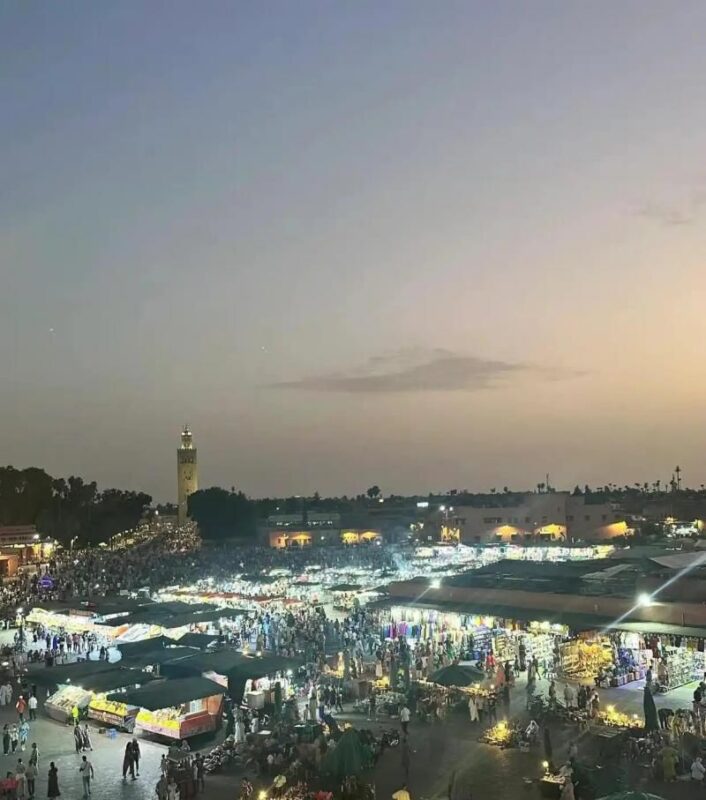 WhatsApp Image 2026 02 11 at 15.35.50