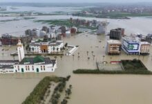 WhatsApp Image 2026 02 12 at 13.52.39