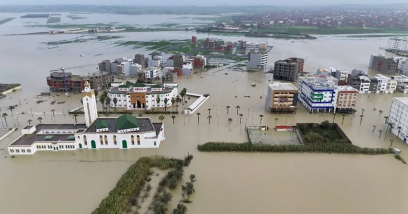 WhatsApp Image 2026 02 12 at 13.52.39 scaled