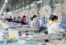 WhatsApp Image 2026 02 13 at 10.47.46