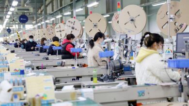 WhatsApp Image 2026 02 13 at 10.47.46