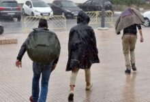 WhatsApp Image 2026 02 14 at 10.44.12