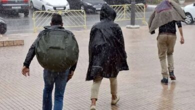 WhatsApp Image 2026 02 14 at 10.44.12