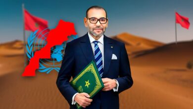 WhatsApp Image 2026 02 14 at 16.00.48