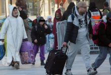 WhatsApp Image 2026 02 16 at 14.02.48