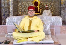 WhatsApp Image 2026 02 16 at 15.44.49