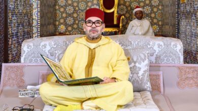 WhatsApp Image 2026 02 16 at 15.44.49