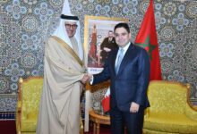 WhatsApp Image 2026 02 16 at 17.56.13