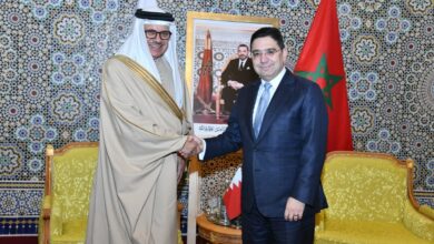 WhatsApp Image 2026 02 16 at 17.56.13