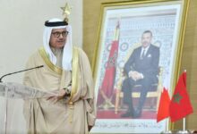 WhatsApp Image 2026 02 16 at 18.20.27