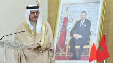 WhatsApp Image 2026 02 16 at 18.20.27