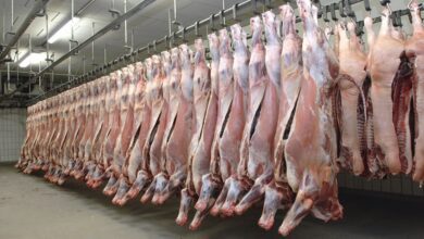 WhatsApp Image 2026 02 18 at 12.53.17