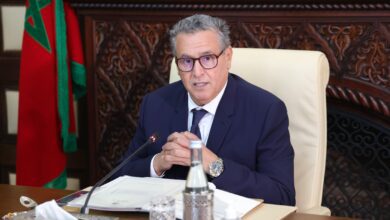 WhatsApp Image 2026 02 18 at 14.32.29 1