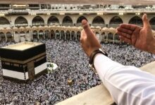 WhatsApp Image 2026 02 19 at 13.41.43