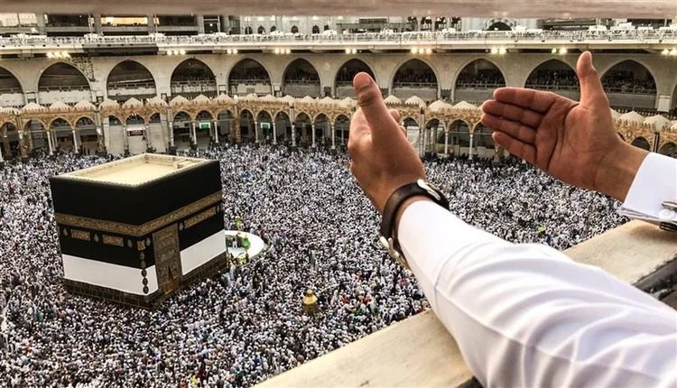 WhatsApp Image 2026 02 19 at 13.41.43