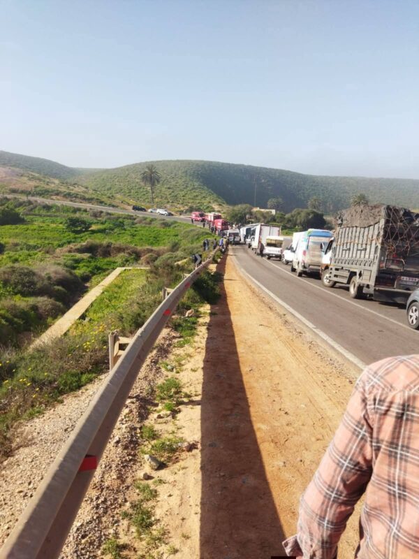 WhatsApp Image 2026 02 21 at 11.30.08 1 scaled