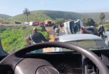 WhatsApp Image 2026 02 21 at 12.04.23