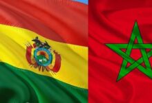 WhatsApp Image 2026 02 24 at 08.33.40