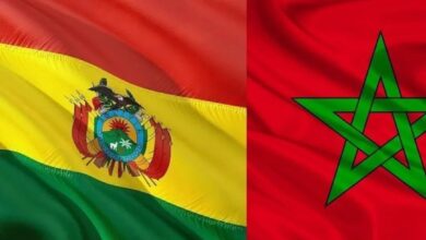 WhatsApp Image 2026 02 24 at 08.33.40