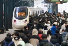 WhatsApp Image 2026 02 25 at 10.07.01