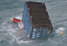 WhatsApp Image 2026 02 27 at 11.37.53