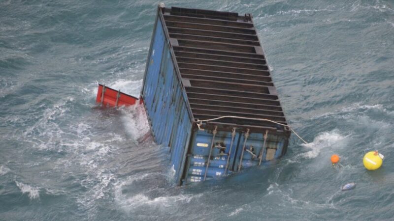 WhatsApp Image 2026 02 27 at 11.37.53 scaled