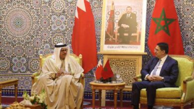 ناصر بوريطة،