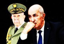 WhatsApp Image 2026 03 01 at 14.10.06