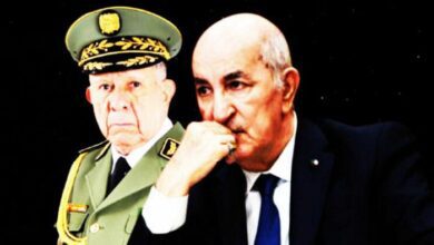 WhatsApp Image 2026 03 01 at 14.10.06