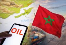 WhatsApp Image 2026 03 04 at 14.31.05