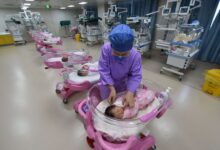 WhatsApp Image 2026 03 05 at 09.49.01