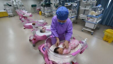 WhatsApp Image 2026 03 05 at 09.49.01