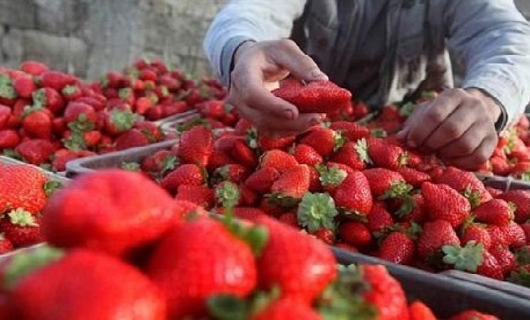 WhatsApp Image 2026 03 05 at 12.06.47