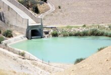 WhatsApp Image 2026 03 06 at 11.42.37 1