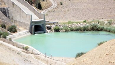 WhatsApp Image 2026 03 06 at 11.42.37 1