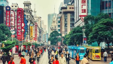 WhatsApp Image 2026 03 09 at 10.39.48