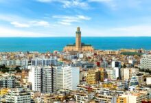 WhatsApp Image 2026 03 09 at 13.03.49