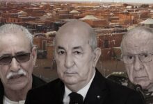 WhatsApp Image 2026 03 09 at 23.40.27