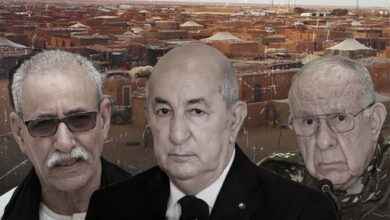 WhatsApp Image 2026 03 09 at 23.40.27