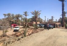 WhatsApp Image 2026 03 10 at 16.27.02