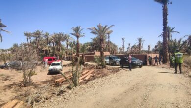 WhatsApp Image 2026 03 10 at 16.27.02