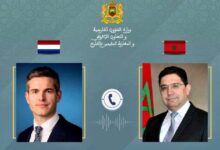 WhatsApp Image 2026 03 10 at 23.01.11