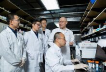 WhatsApp Image 2026 03 11 at 10.24.01