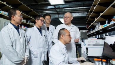 WhatsApp Image 2026 03 11 at 10.24.01