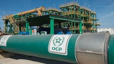 WhatsApp Image 2026 03 11 at 22.39.21