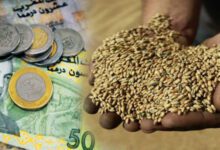 WhatsApp Image 2026 03 12 at 17.56.28