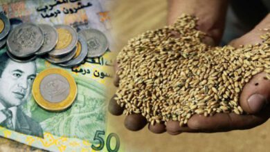 WhatsApp Image 2026 03 12 at 17.56.28