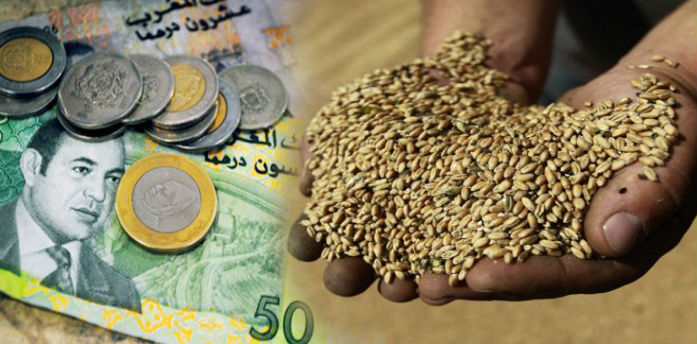 WhatsApp Image 2026 03 12 at 17.56.28