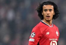 WhatsApp Image 2026 03 13 at 14.46.23