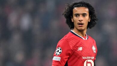 WhatsApp Image 2026 03 13 at 14.46.23